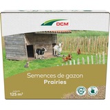 DCM Graszaad Weide 1,5 kg zaden Tot 125 m²