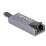 DeLOCK USB-C > 2.5 Gigabit LAN slim netwerkadapter Grijs