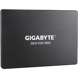 GIGABYTE 256 GB SSD GP-GSTFS31256GTND, SATA 600