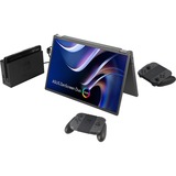 ASUS ZenScreen Duo OLED MQ149CD 21" monitor Zilver, 1x Mini HDMI, 2x USB-C