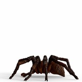 Schleich Harry Potter - Aragog speelfiguur 