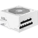 GIGABYTE UD1000GM PG5 V2 ICE modulaire 1000 watt voeding  Wit, 1x 12V-2x6, 4x PCIe