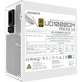 GIGABYTE UD1000GM PG5 V2 ICE modulaire 1000 watt voeding  Wit, 1x 12V-2x6, 4x PCIe