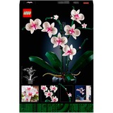 LEGO Creator Expert - Orchidee Constructiespeelgoed 10311