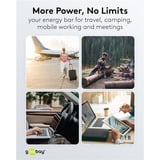goobay  powerbank Zwart
