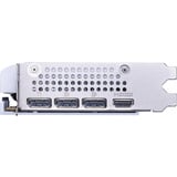 MSI GeForce RTX 5060 8G VENTUS 2X OC WHITE grafische kaart 3x DisplayPort, 1x HDMI