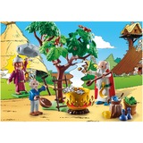 PLAYMOBIL Asterix - Panoramix met toverdrank Constructiespeelgoed 70933