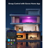 Govee Ceiling Light (Ø 30 cm) verlichting Wit