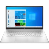HP 17-cp0065nb 17.3" laptop Zilver | Ryzen 5 5500U | Radeon Graphics | 8 GB | 512 GB SSD