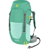 Jack Wolfskin PIONEER 22 PACK rugzak Groen