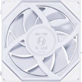 Lian Li UNI FAN TL-LCD120 White Single Pack case fan Wit