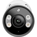 TP-Link InSight S385 beveiligingscamera Wit, LAN