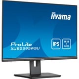 iiyama ProLite XUB2595WSU-B5 25" monitor Zwart, VGA, HDMI, DisplayPort, USB, Audio, Adaptive Sync