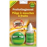 BSI Fruity Trap fruitvliegjesval insectenval Groen, 1 val + 30 ml lokstof