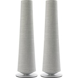 Harman/Kardon Citation Tower luidspreker Lichtgrijs, 2 stuks, Wifi, Bluetooth