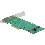 DeLOCK PCI Express Card > 2 x internal M.2 Key B with RAID serial-ata controller 89536