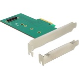 DeLOCK PCI Express x4 Card > 1 x internal NVMe M.2 Key M 110 mm adapter
