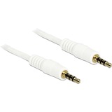 DeLOCK 3,5 mm kabel Wit, 3 meter