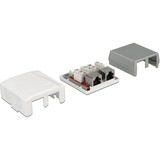 DeLOCK Network Wall Outlet 2 Port Cat.6A LSA montagedoos Wit