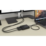 i-tec USB-C > Dual DisplayPort adapter Zwart, 0,3 meter, 4K