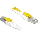 DeLOCK Cat.6a netwerkkabel Wit, 5 meter, S/STP, RJ-45