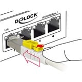 DeLOCK Cat.6a netwerkkabel Wit, 5 meter, S/STP, RJ-45
