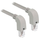 DeLOCK Cat.6a netwerkkabel Grijs, 1 meter, S/FTP, RJ-45