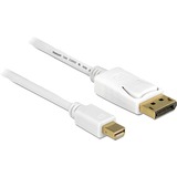 DeLOCK Mini DisplayPort > DisplayPort adapter Wit, 2 meter