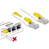 DeLOCK Netwerkabel RJ-45 Secure met Cat.6a Wit, 85335, 5 meter