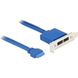 DeLOCK Slot bracket 1x 19-Pin USB 3.1 pin header female intern > 2 x USB-C female extern Low Profile kabel Blauw, 0,3 meter