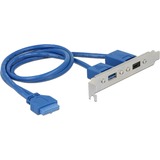DeLOCK Slotbeugel 19-Pin USB 3.1 > USB-C + USB-A aansluiting kabel Blauw, 0,3 meter