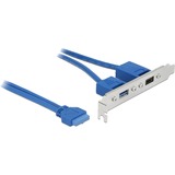 DeLOCK Slotbeugel 19-Pin USB 3.1 > USB-C + USB-A aansluiting kabel Blauw, 0,3 meter