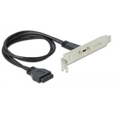 DeLOCK Slotbeugel 1x USB Type-C slotplaatje Zwart