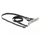DeLOCK Slotbeugel 2x USB-C kabel Zwart, 0,5 meter
