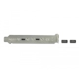 DeLOCK Slotbeugel 2x USB-C kabel Zwart, 0,5 meter