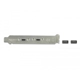 DeLOCK Slotbeugel 2x USB Type-C kabel Zwart