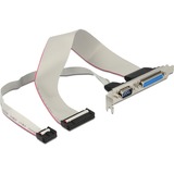DeLOCK Slotbracket 1x Parallel 1x Serial slotplaatje Grijs, 30cm