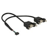 DeLOCK USB 2.0 10-Pin > 2 x USB-A 2.0 female panel-mount kabel Zwart, 0,25 meter