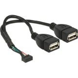 DeLOCK USB 2.0 pin header female 2.00 mm 10 pin > 2 x USB-A 2.0 female splitterkabel Zwart, 0,15 meter