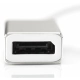 Digitus USB-C naar DisplayPort adapter Wit/zilver