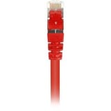 Sharkoon Netwerkabel SFTP, RJ-45 met Cat.6 Rood, 1,5 meter