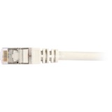 Sharkoon Patchkabel SFTP, RJ-45 met Cat.6 Grijs, 0,25 meter