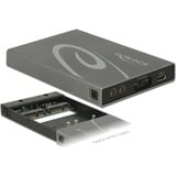 DeLOCK 2x mSATA SSD > USB 3.1 Gen 2 USB Type-C female met RAID externe behuizing Grijs, USB-C 3.2 (10 Gbit/s)