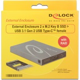 DeLOCK Externe behuizing 2 x M.2 Key B SATA SSD > USB 3.1 Gen 2 USB Type-C  Grijs, 42589, RAID