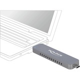 DeLOCK Externe behuizing voor M.2 PCIe NVMe SSD met USB Type-C en Type-A male Zilver