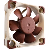 Noctua NF-A4x10 FLX case fan Bruin/wit