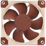 Noctua NF-A8 5V PWM case fan 