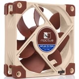 Noctua NF-A8 5V PWM case fan 