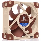 Noctua NF-A8 5V case fan 