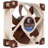 Noctua NF-A8 PWM case fan 4-pin PWM aansluiting